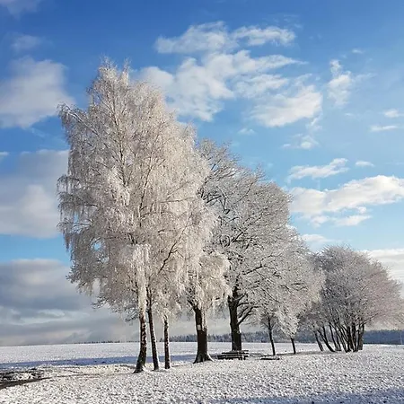 Apartamento Friedrich