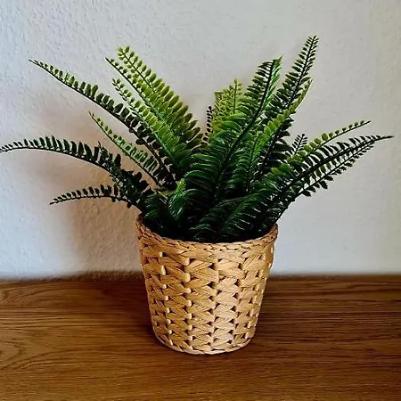 Apartamento Friedrich Michelstadt