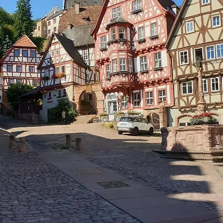Appartement Friedrich Michelstadt