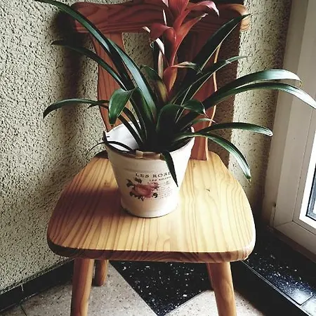 Friedrich * Michelstadt