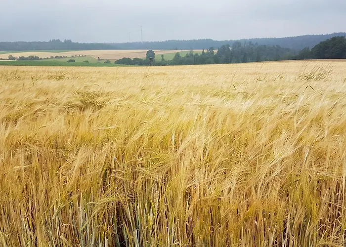 Friedrich Apartman *