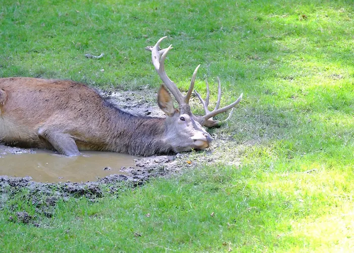 Friedrich * Michelstadt