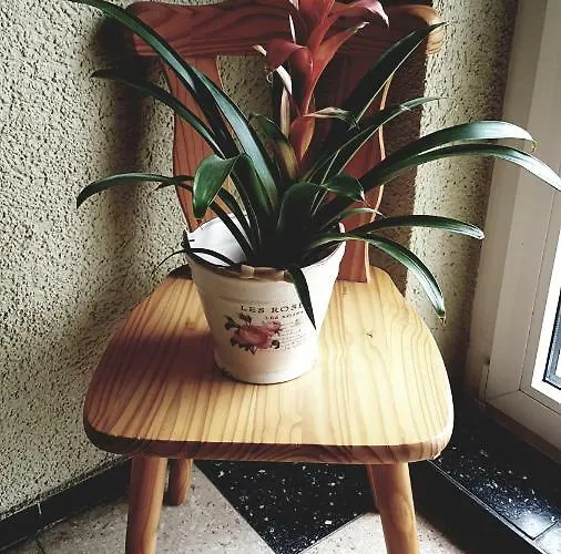 Friedrich * Michelstadt